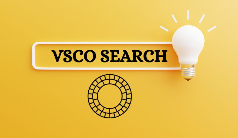 What is VSCO Search?