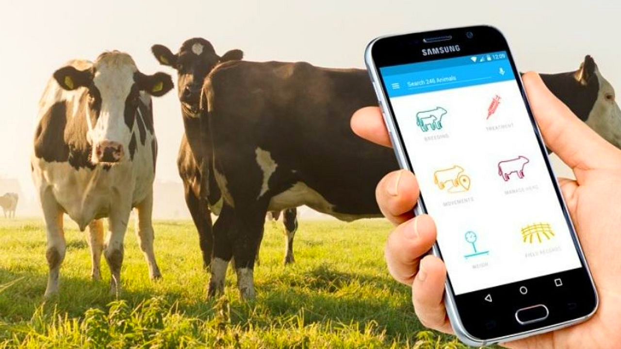 Revolutionizing Agriculture: How Cattle Management Software is Transforming Farm Operations