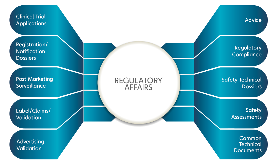 The Imperative Need for Document Translation Services in Smooth Regulatory Affairs