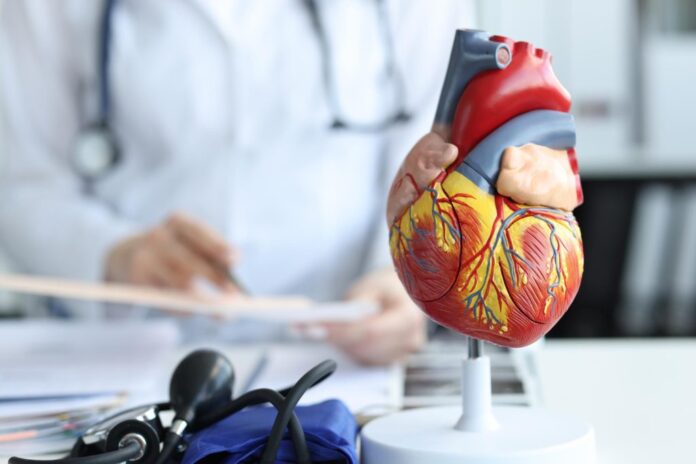 artificial-plastic-model-human-heart-standing-against-background-cardiologist-closeup-1024x683 heart hospital Noida