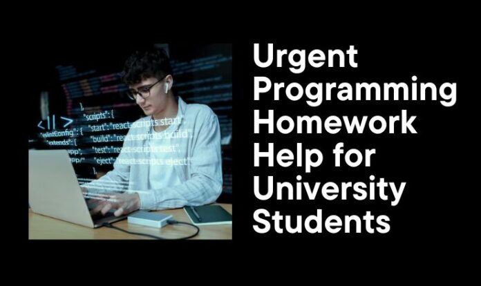 Coding Assignment Help