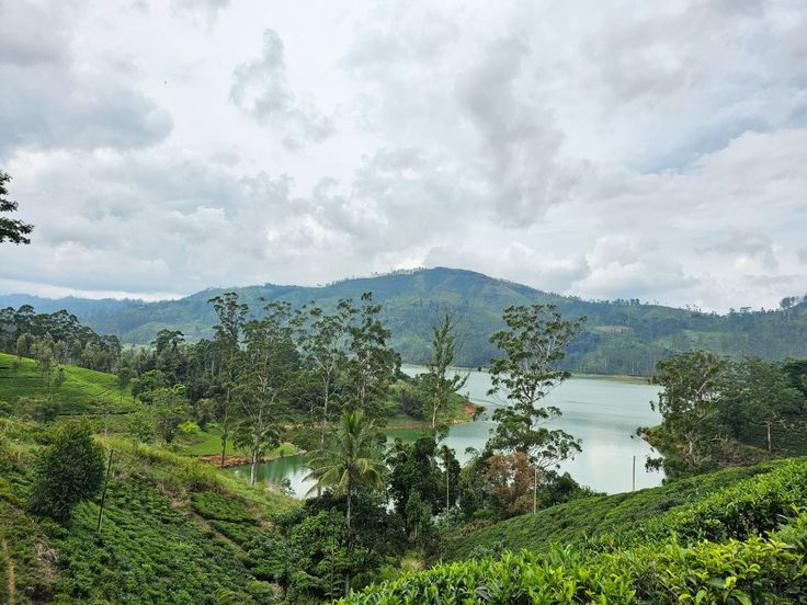 Mountains, Beaches, and Ruins: The Sri Lankan Escape