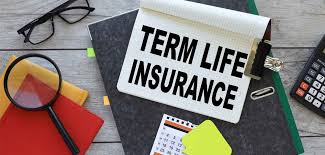Term Insurance