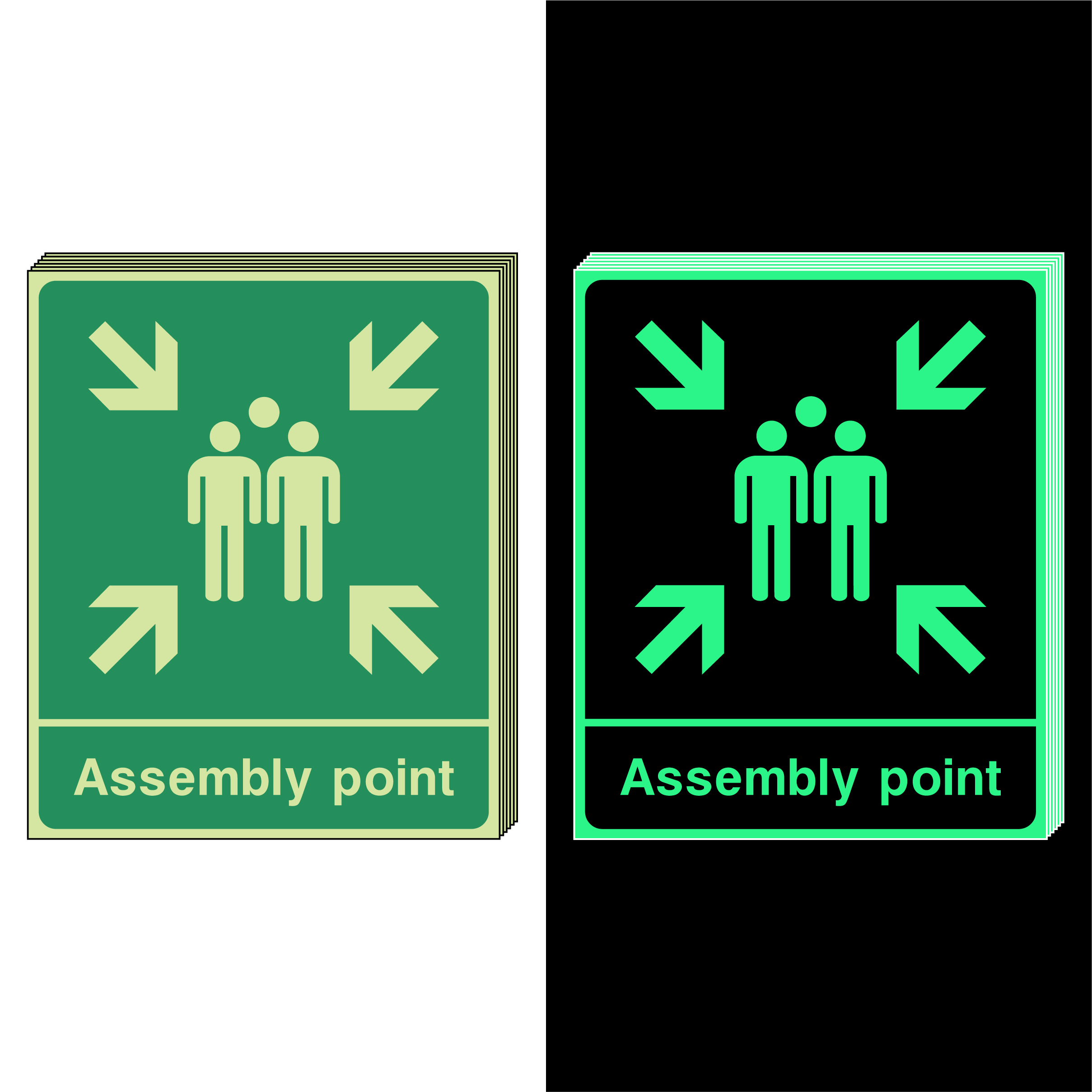 Photoluminescent-Assembly-Point-12 Photoluminescent-Assembly-Point-12