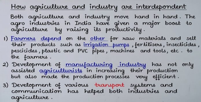industrialisation and urbanisation go hand in hand justify the statement