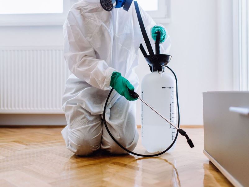 Pest Control Service