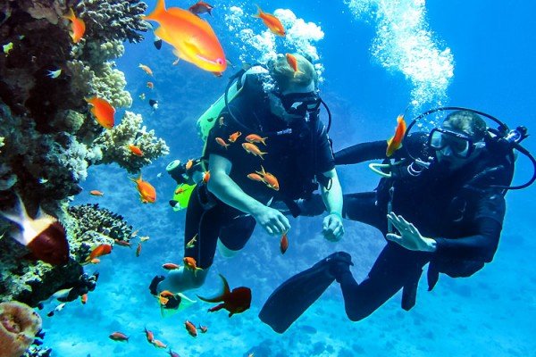 Water Sports in Andaman: The Ultimate Guide to Exploring the Sea Beyond the Beach
