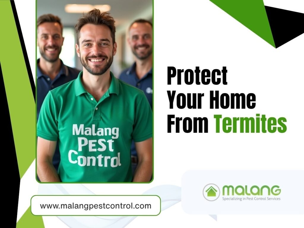 termite treatment in Orange County