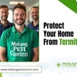 termite treatment in Orange County