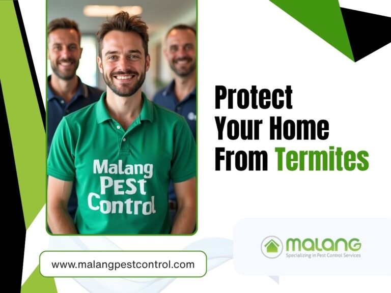 termite treatment in Orange County