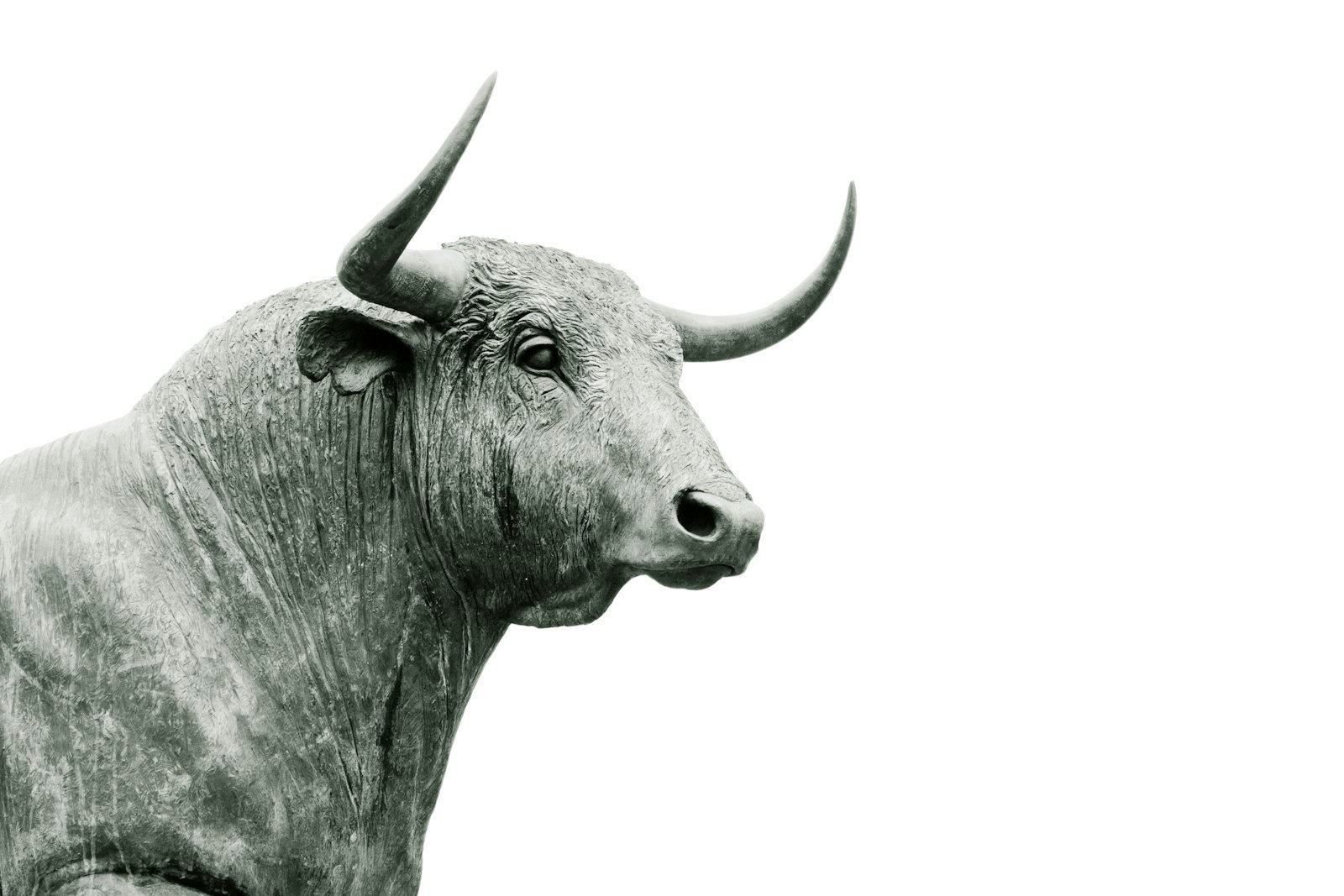 Bronze bull statue symbolising the stock market